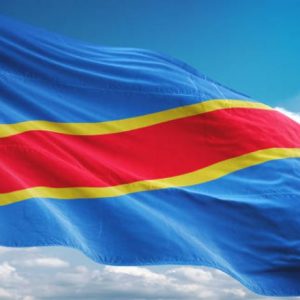 Lire la suite à propos de l’article Rôle et apport de la diaspora dans le changement en RDC